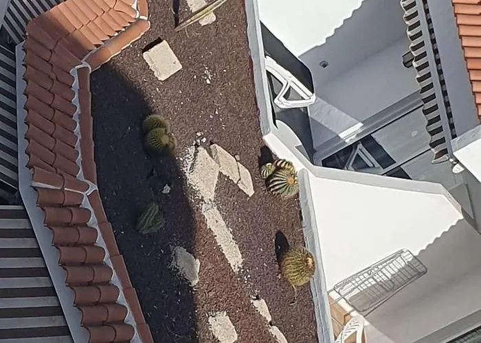 Penthouse Ar Okeana Skatu Arona